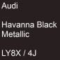 Preview: Audi, Havanna Black Metallic, LY8X / 4J.